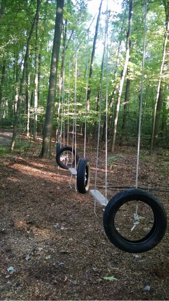 tireswing